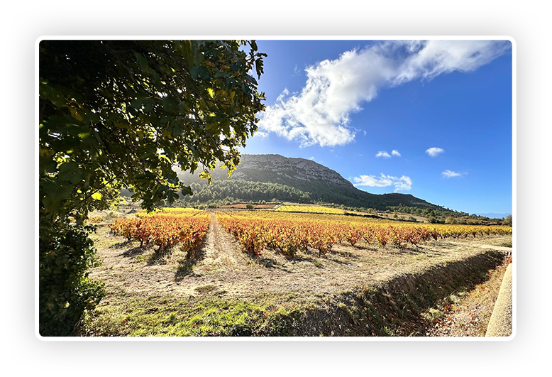 WhatsApp Image 2025-11-12 at 11.11.20 (2) copiar