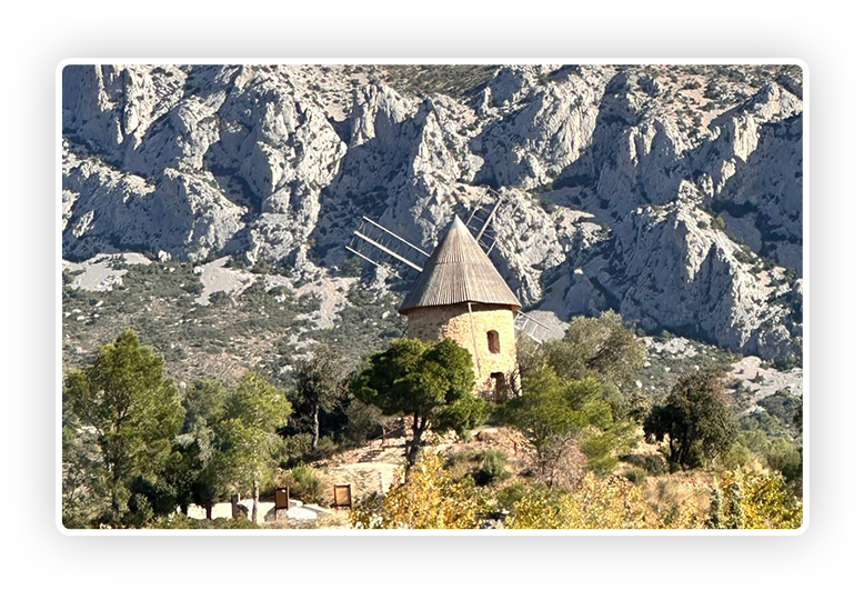 WhatsApp Image 2025-11-12 at 11.11.20 (3) copiar