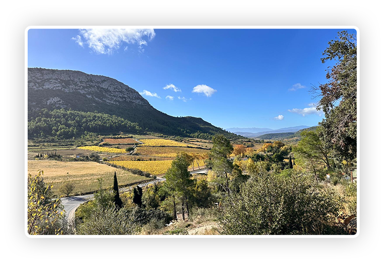 WhatsApp Image 2025-11-12 at 11.11.20 (3) copiar